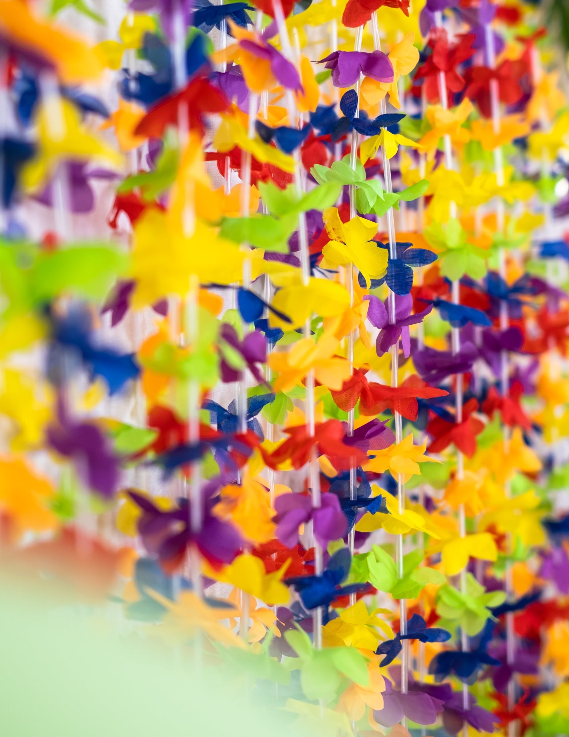 Gros plan sur les fleurs multicolores de la guirlande fleurs hawaï