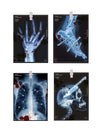 Guirlande radiographies Halloween en papier bleue avec taches de sang