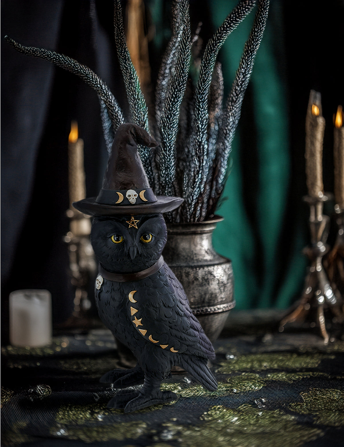 Vue d'ensemble du hibou de sorcier occulte