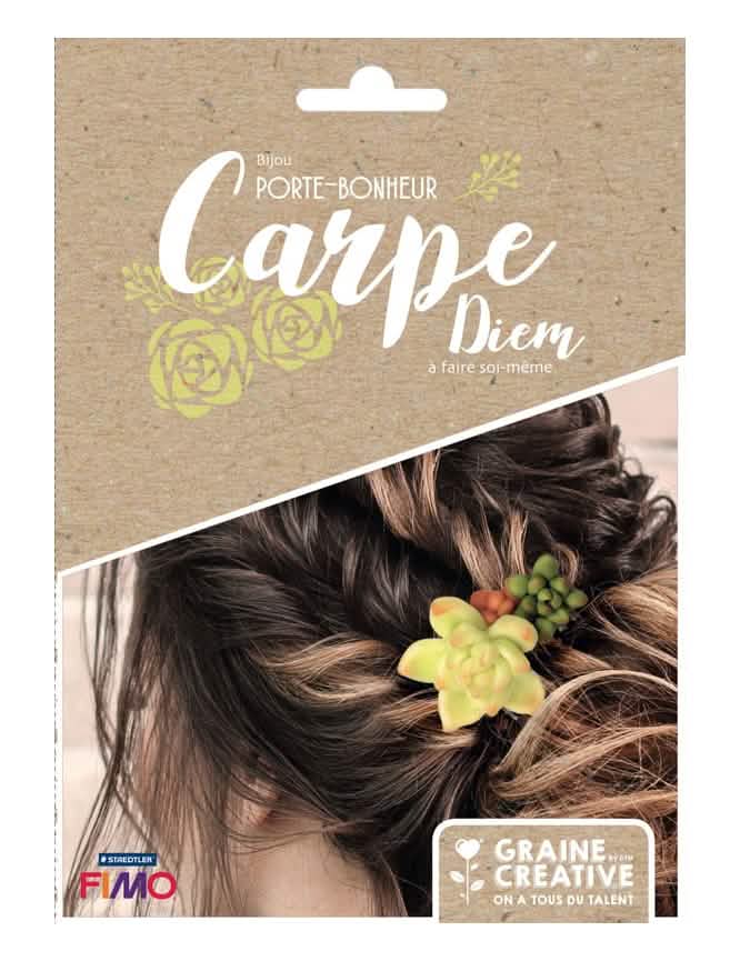 Kit de jóias porta-bonheur, broches para o cabelo suculentas em fimo para mulher, verde e terracota