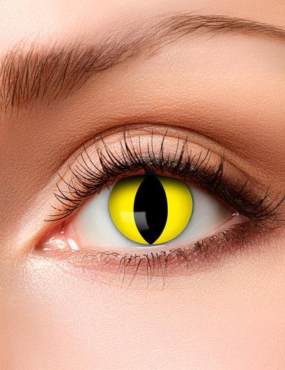 Gros plan sur l'œil des lentilles de contact fantaisie oeil serpent