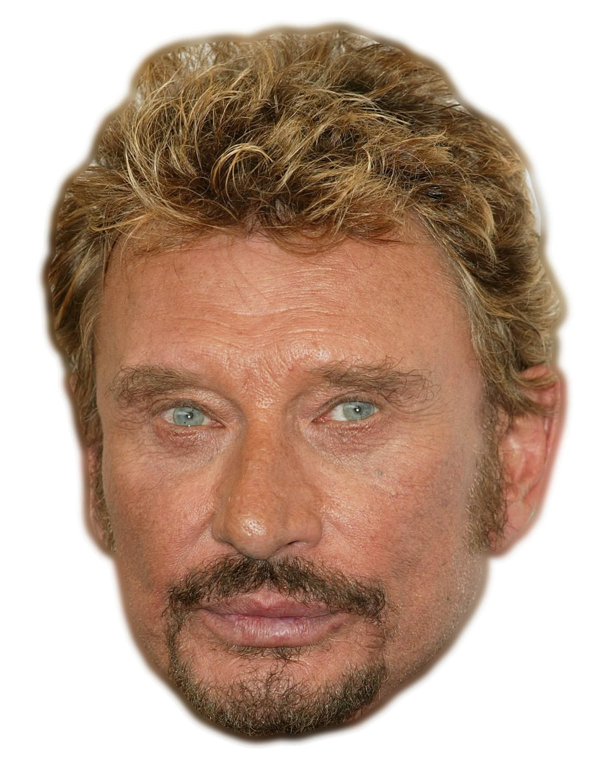 Máscara de cartão Johnny Halliday para adulto realista