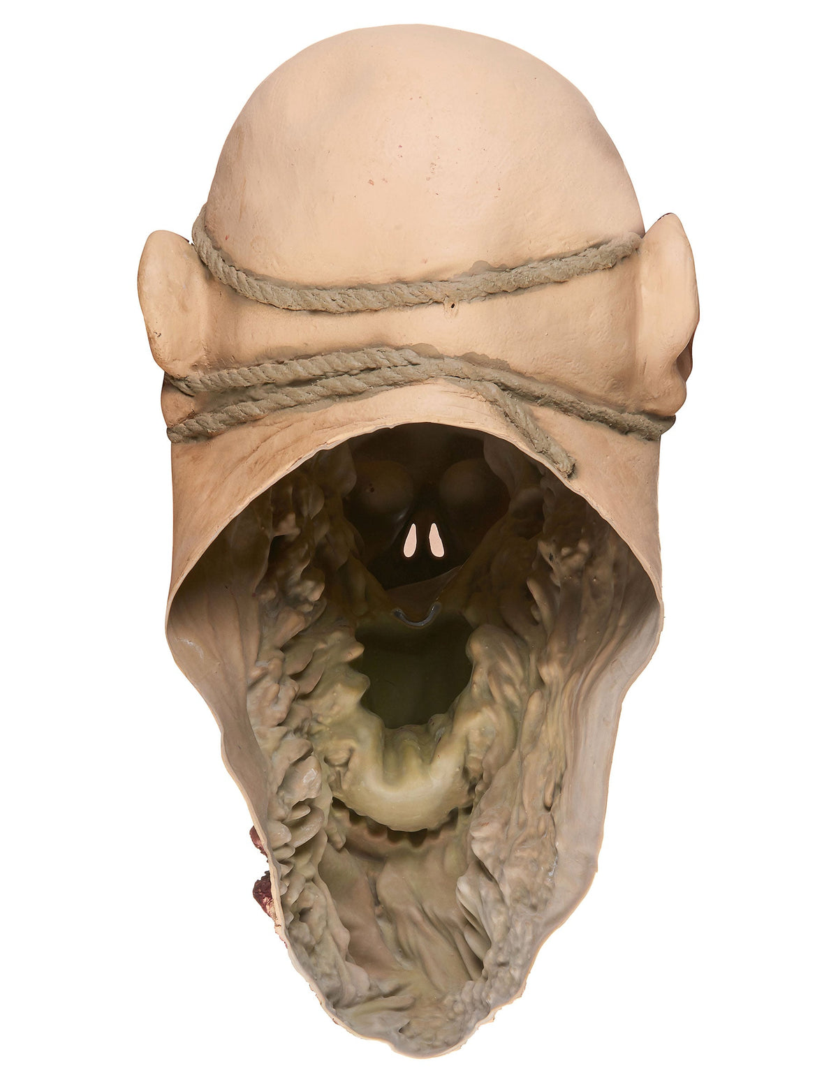 Vue de dos du masque en latex zombie dévoreur pour adulte