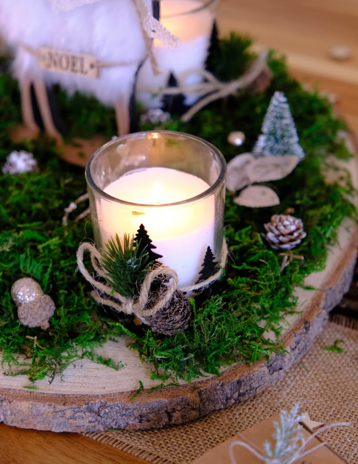 Detalhe da utilização em centro de mesa da musgo vegetal seco decoração natural