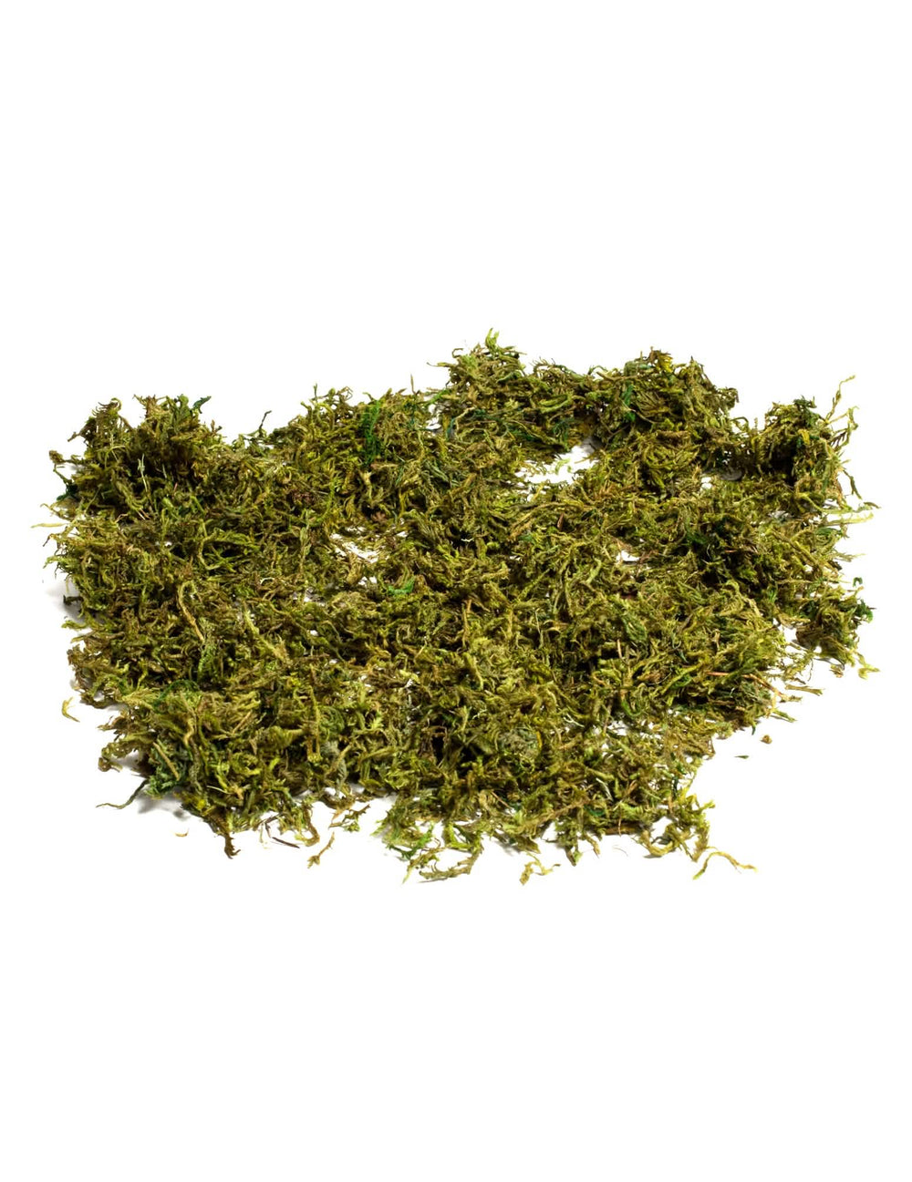 Musgo vegetal seco, decoração natural para festa verde