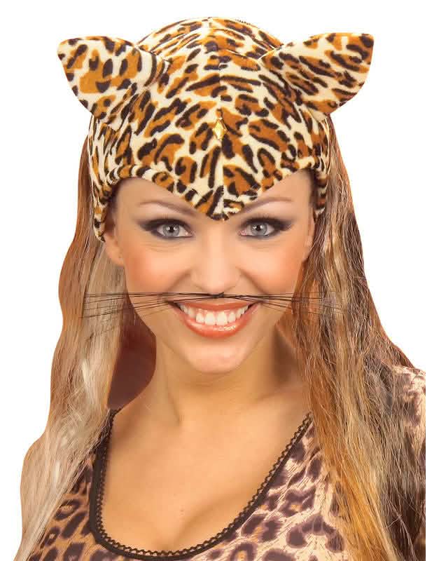 Vista de frente do bigode de gato