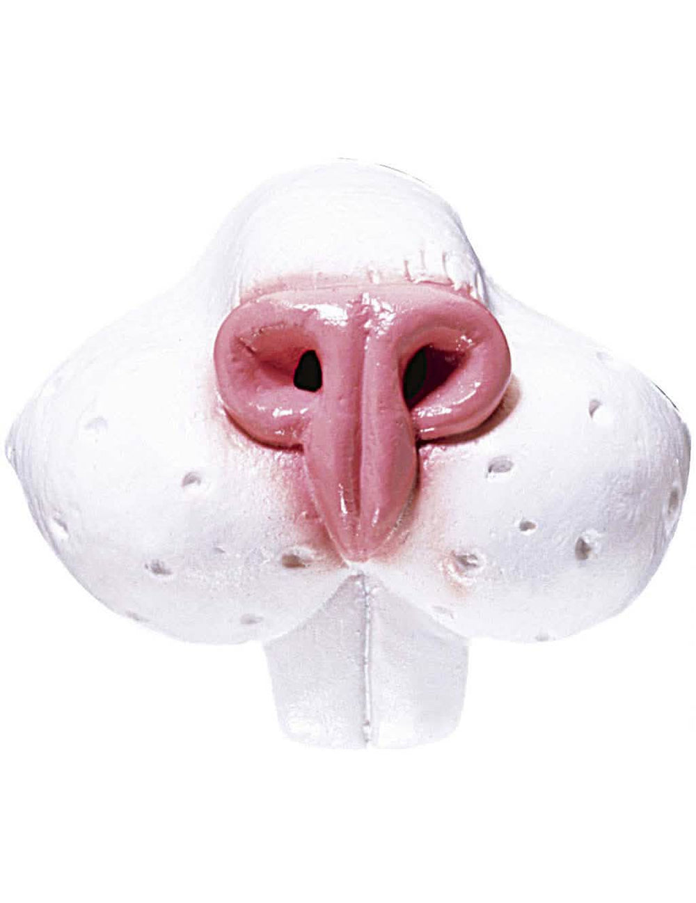 Nariz de coelho para adulto branco e cor de rosa com dentes de frente