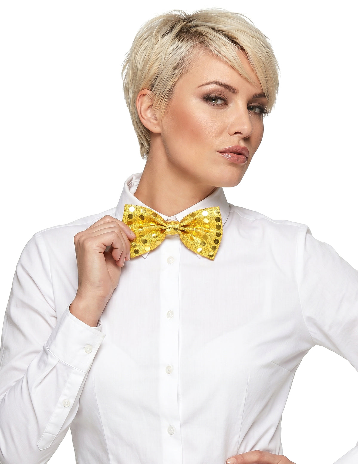Papillon dourado adulto