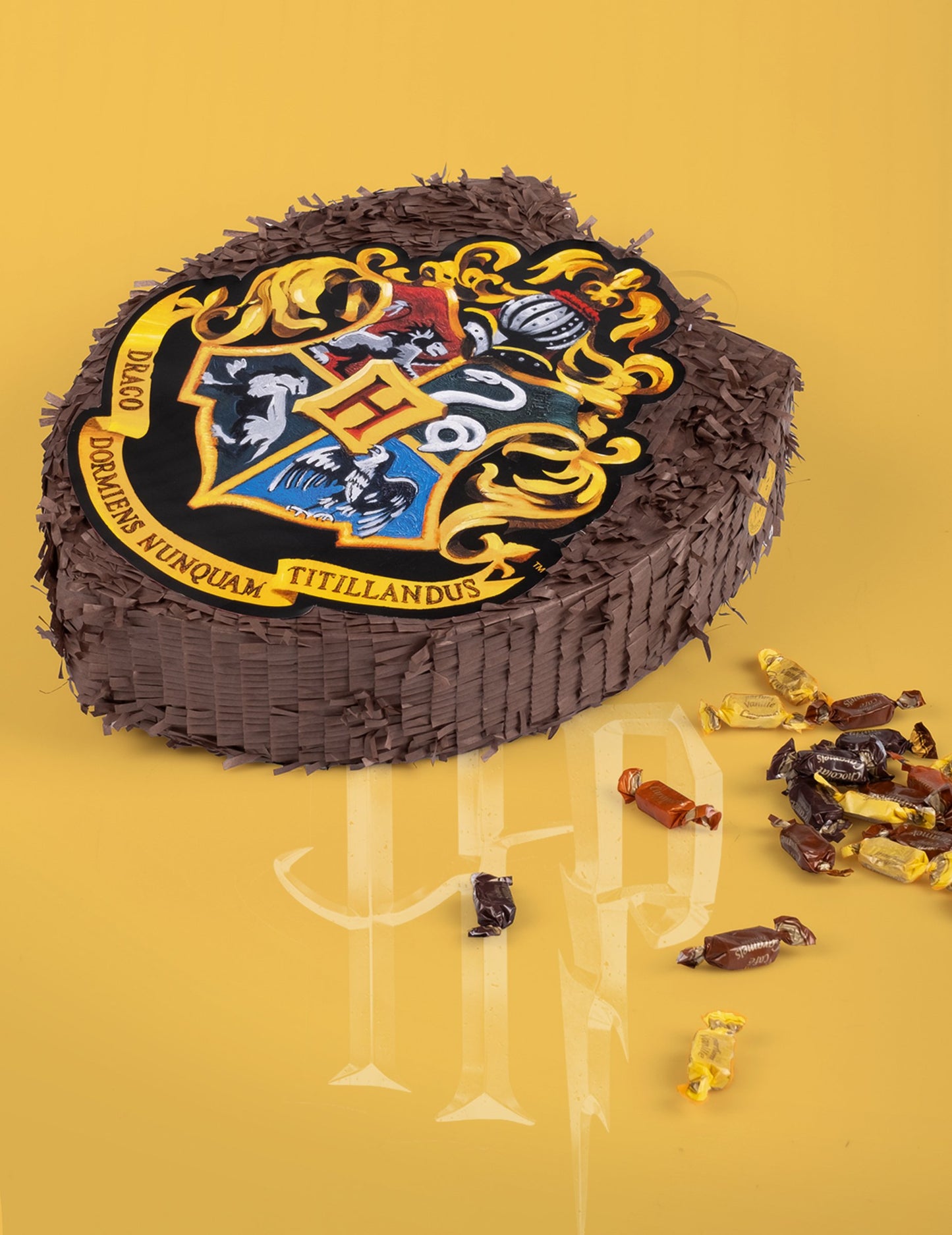 Vue avec bonbons de la Piñata Harry Potter