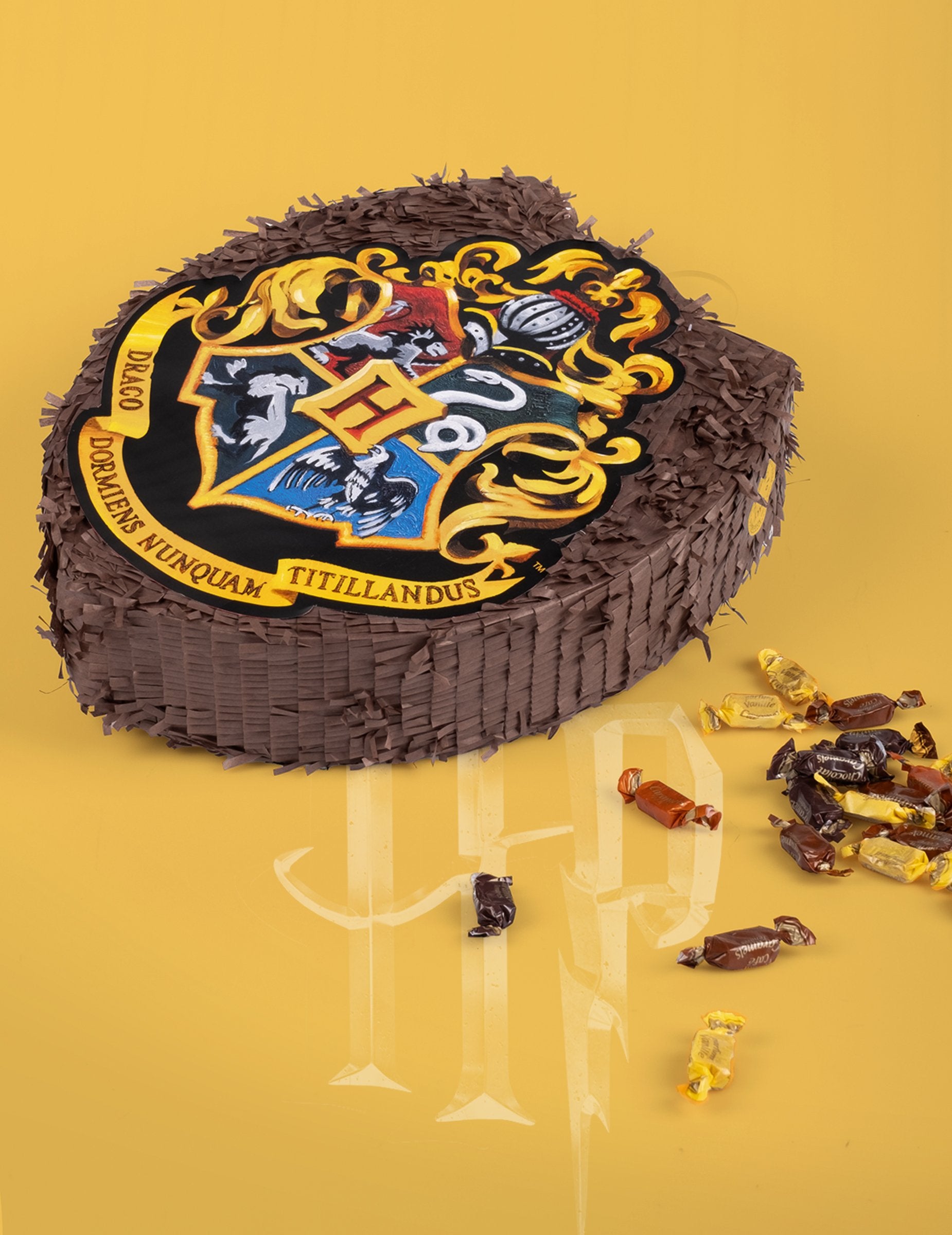 Vue avec bonbons de la Piñata Harry Potter
