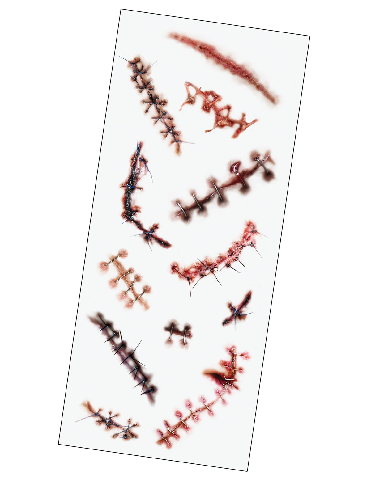 Détail des différents motifs de la planche de tatouages cicatrices et sutures