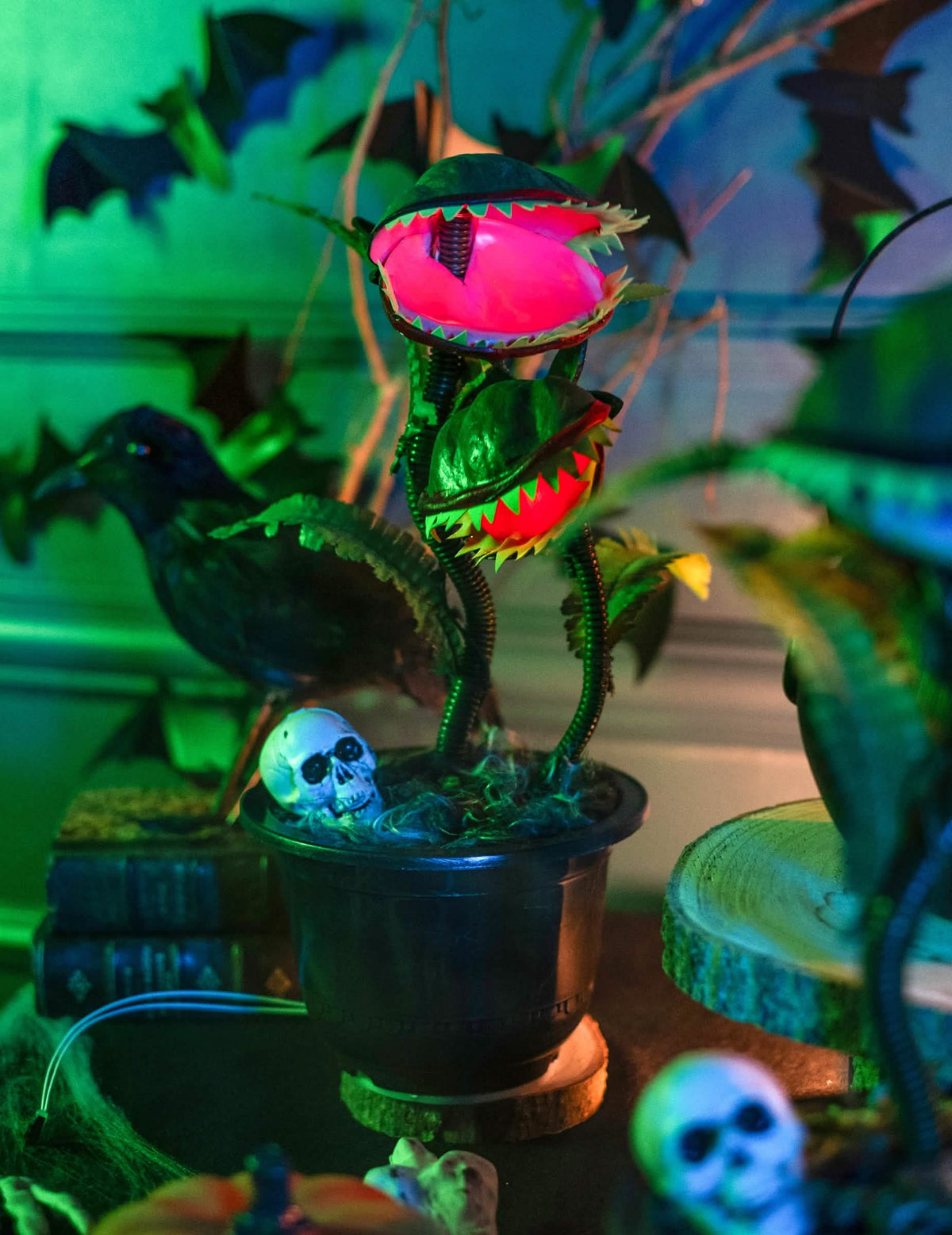 Grande plano no vaso com caveira da planta carnívora animada decoração de halloween