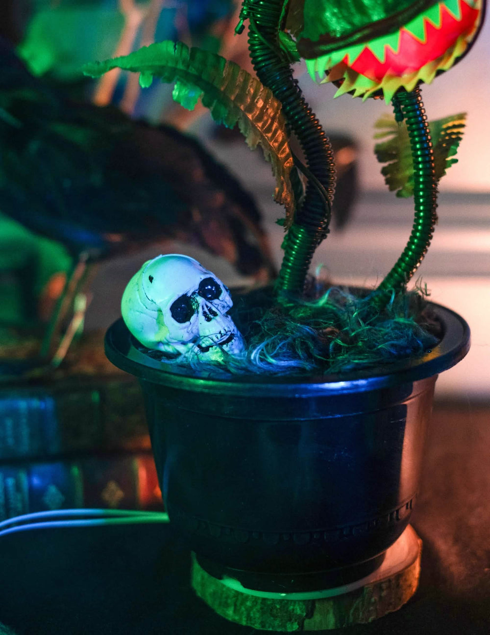 Détail do crânio no vaso da planta carnívora animada decoração de halloween