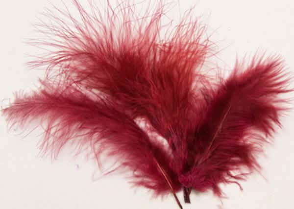 Plumas de decoração bordeaux pack de 20