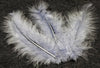 Plumes de décoration pour atelier créatif grises