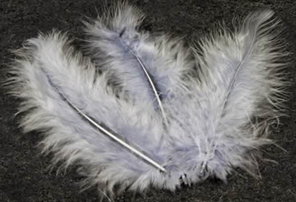 Plumas decorativas cinzentas para oficina criativa