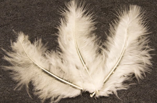 Plumes de décoration pour mariage ivoire