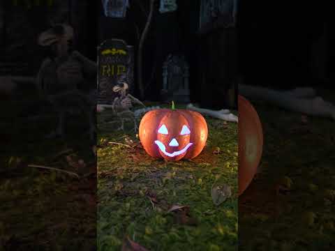Citrouille Halloween lumineuse 17 cm
