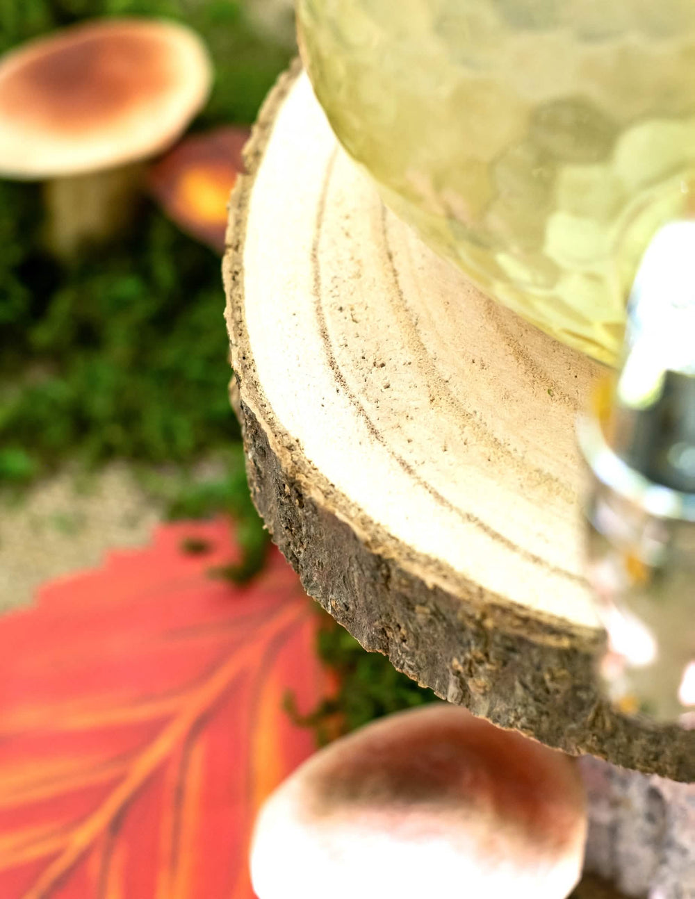 Grande plano dos anéis e da casca do tronco de madeira natural para decoração