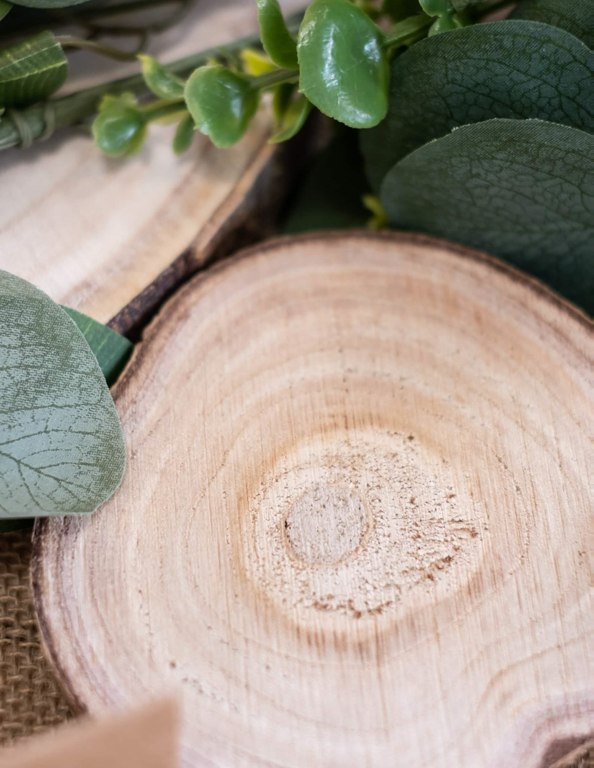 Grande plano sobre a textura do tronco de madeira natural para decoração de casamento