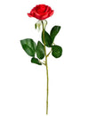 Rose rouge avec tige et feuilles vertes