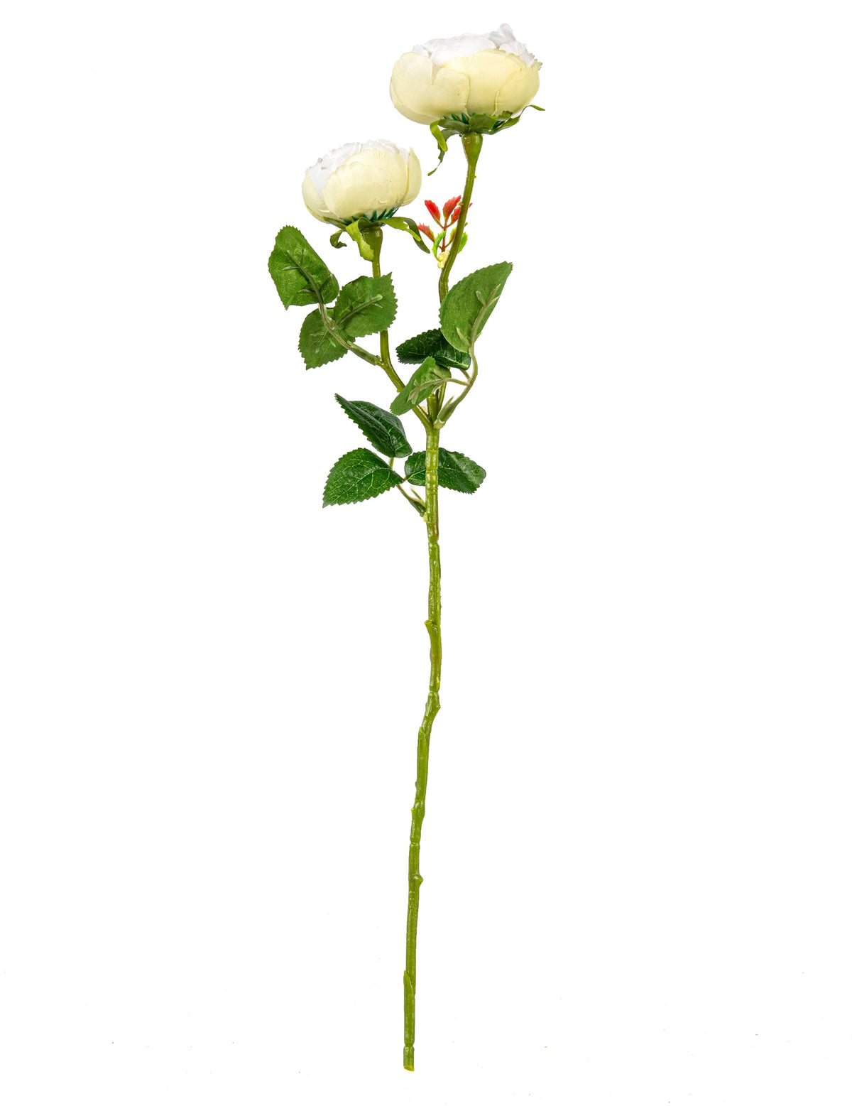 Vue de dessous des fleurs des roses artificielles sur tige pour décoration