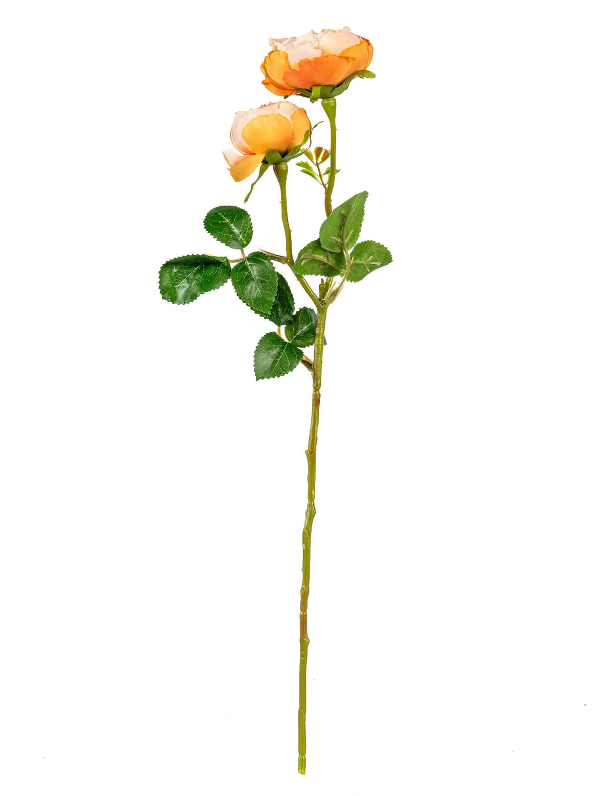 Vista de perfil de rosas artificiais de casamento para bouquet cor de pêssego em haste