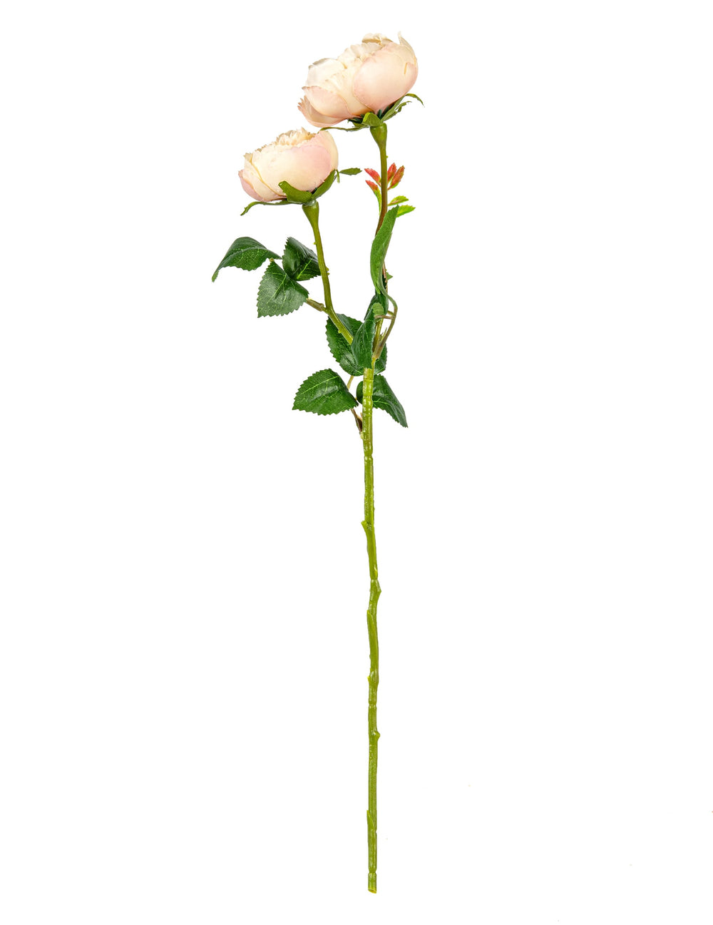 Vue d'ensemble des roses artificielles rose pastel sur tige