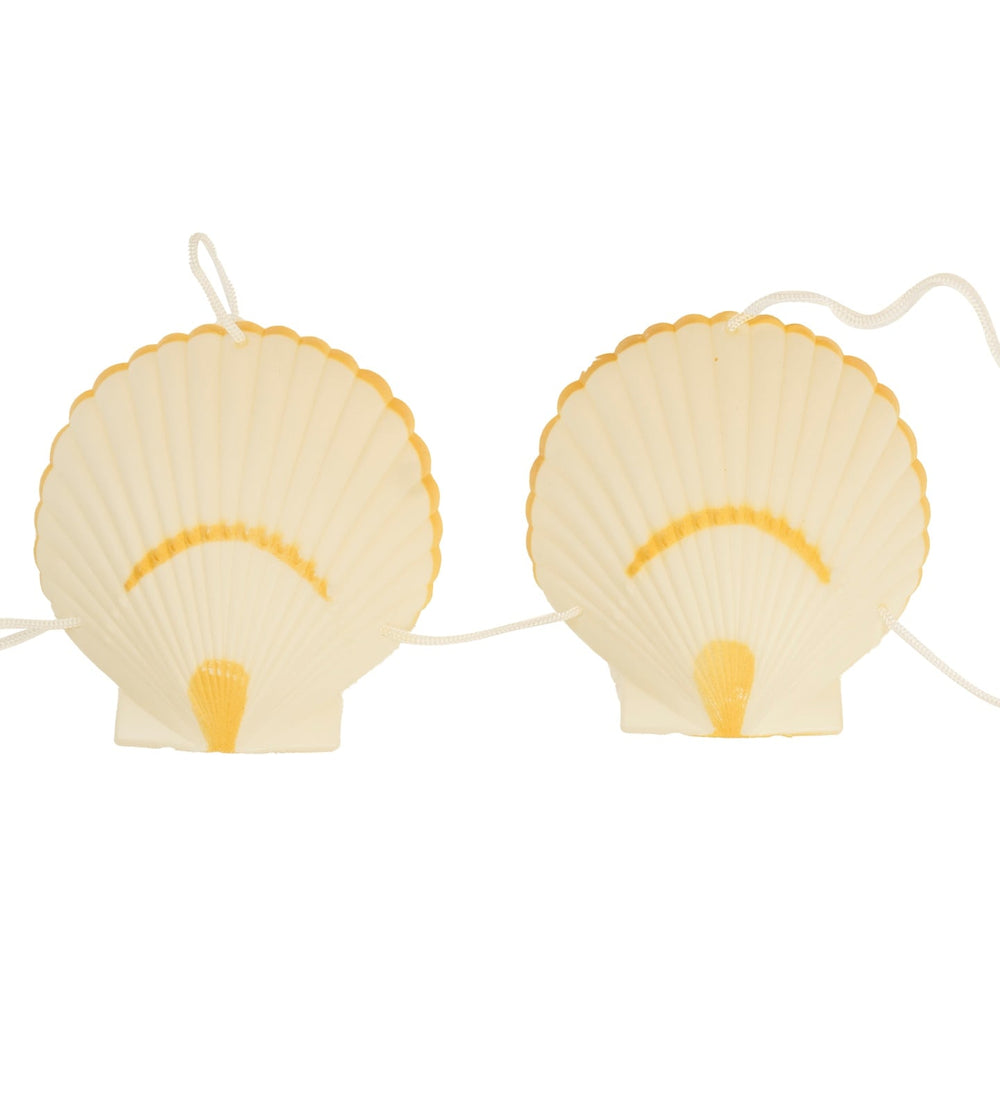 Vue à plat du soutien-gorge coquillage pour adulte