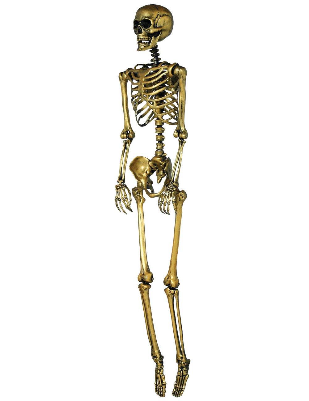 Vue de profil du squelette à suspendre pour Halloween doré