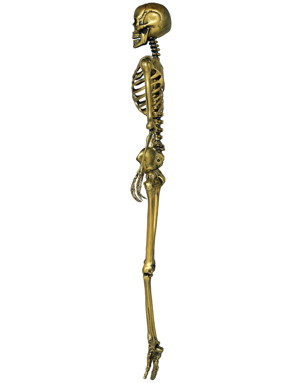 Vue de profil du squelette à suspendre pour Halloween doré