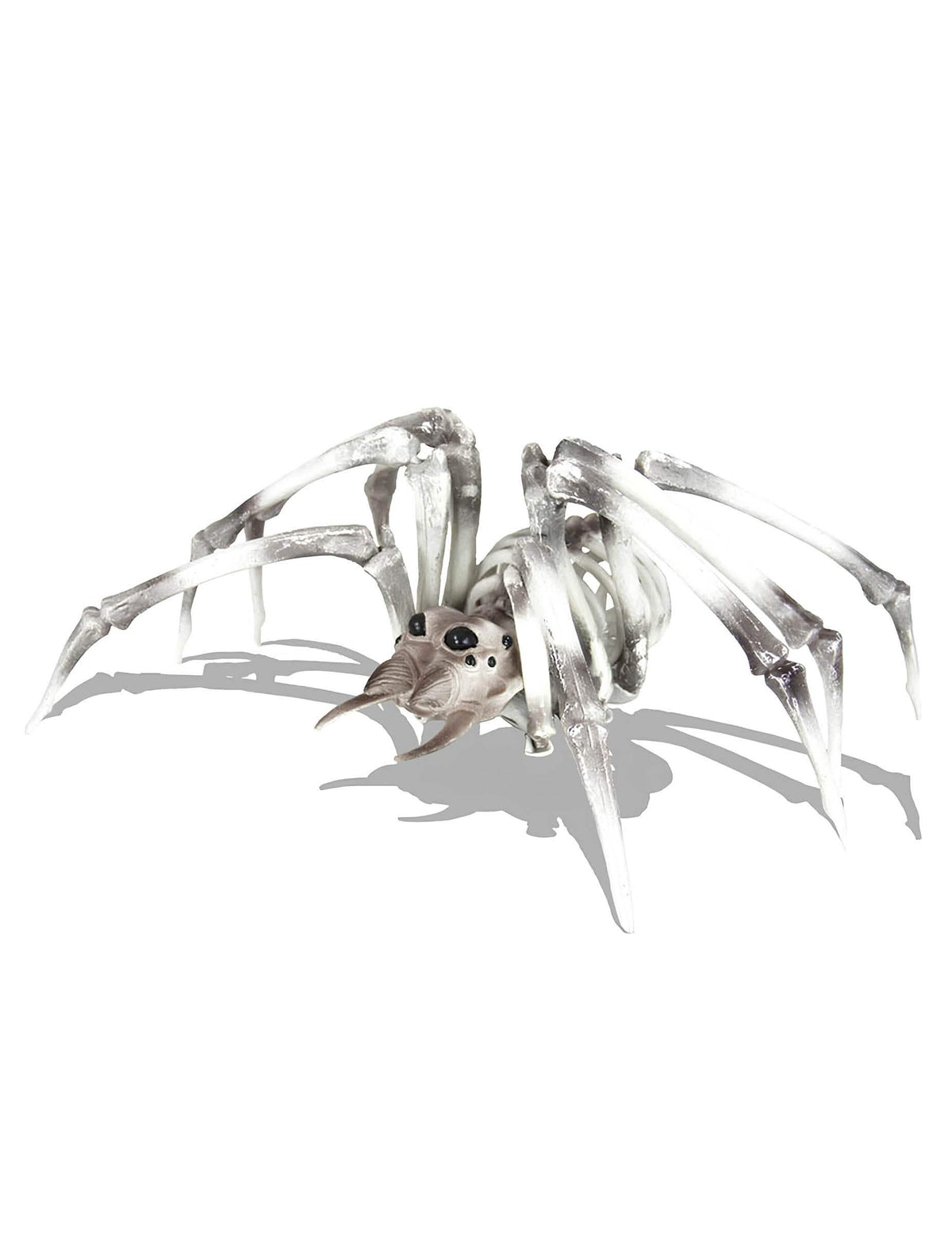 Squelette araignée pour décoration d'Halloween beige et noir