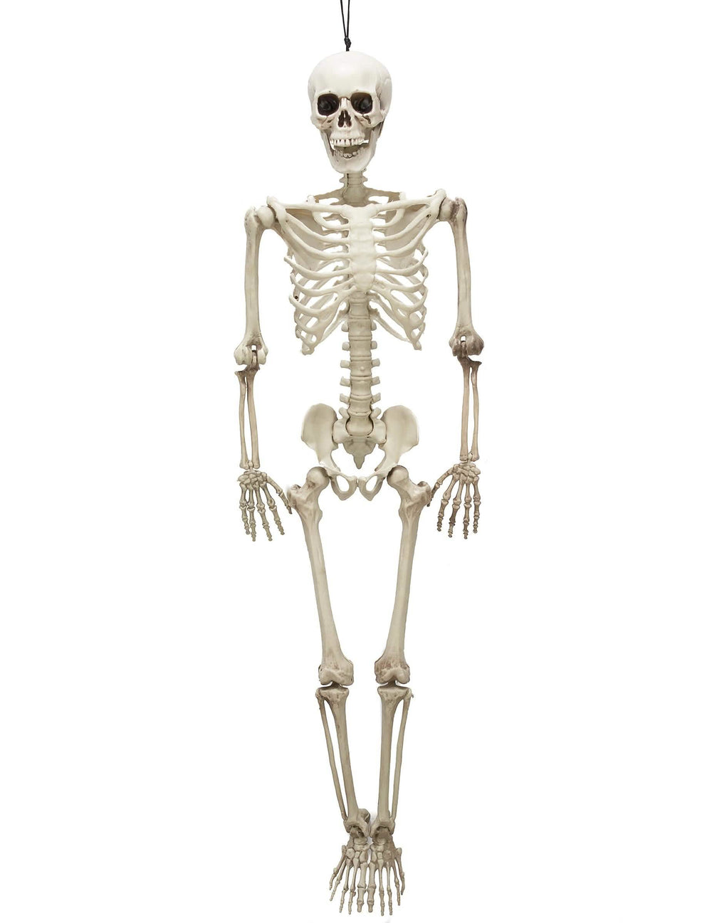 esqueleto articulado halloween para decoração cor os