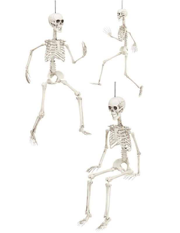 Diferentes posições do esqueleto articulado halloween