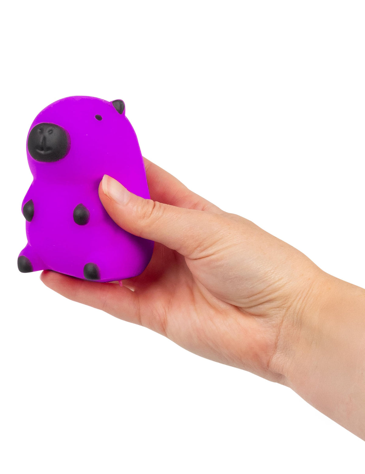 Prise en main de la variante violette de la balle squishy capybara anti-stress