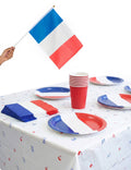 Decoração de Aniversário Futebol França