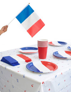 Decoração de Aniversário Futebol França