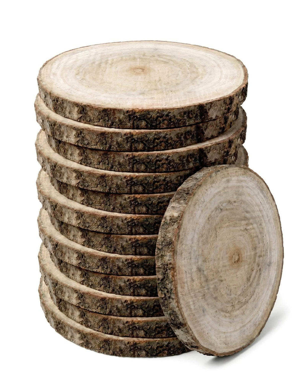 12 toros de madeira natural de 13 a 17 cm