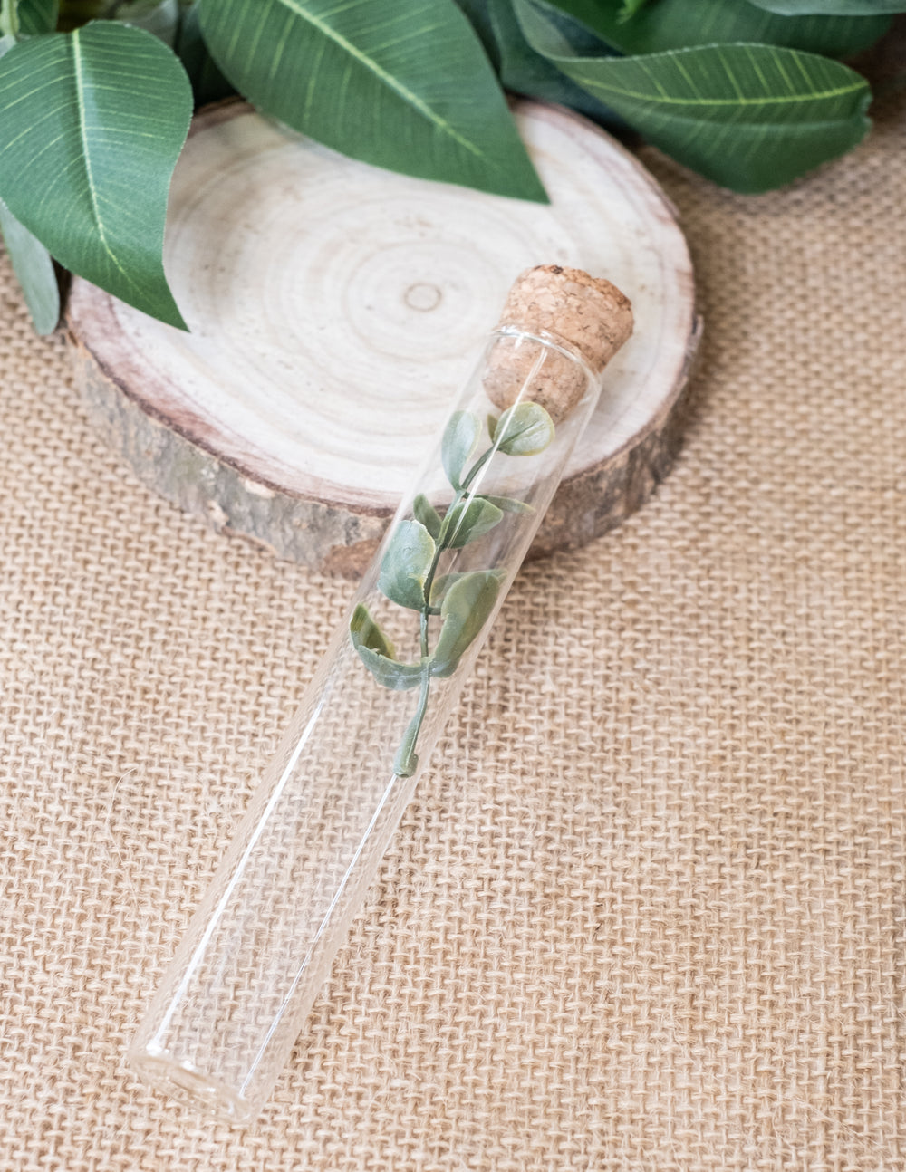 Mise en situation avec branche d'eucalyptus du tube éprouvette en verre pour décoration de table