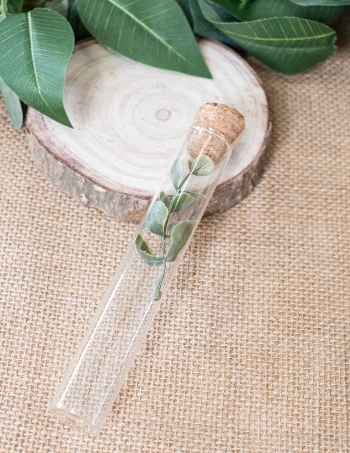 Mise en situation avec branche d'eucalyptus du tube éprouvette en verre pour décoration de table