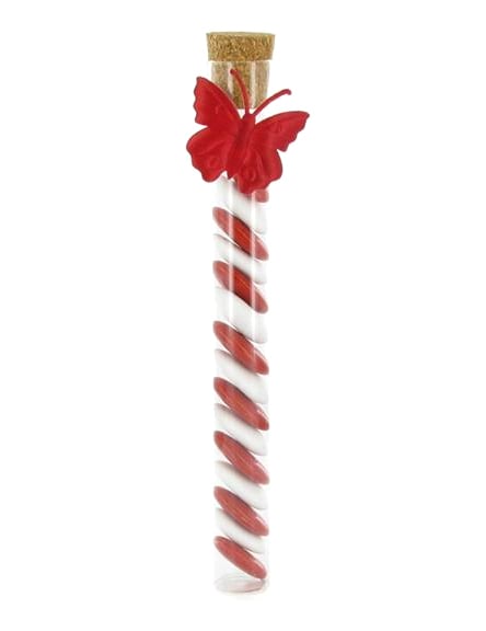 Détail du papillon rouge et des dragées du tube éprouvette en verre pour fête